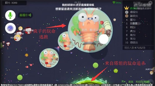 球球大作战高端操作 虎牙直播疯子这卡点牛B炸了