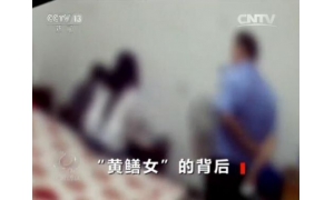 央视怒批网络直播乱象：揭秘“黄鳝女”背后利