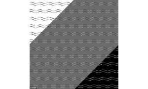 魔性十足！日本科学家发现了所谓全新视错觉图
