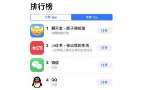 聊天宝下载量位列App Store第一名，多个功能引人