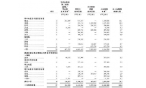 深扒实地集团招股书的三大硬核