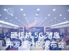 5G消息的迈进 中讯设计院硬核桃5G消息开发者社区