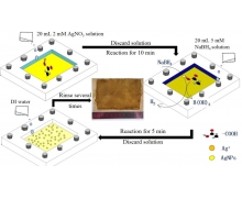 科学家为细菌注入银纳米粒子以提高燃料电池的