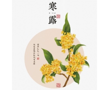 买鲜花过新年蚂蚁庄园 桂花和竹哪个不属于我国