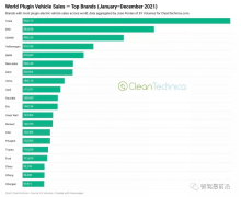 2021 年全球新能源汽车销量榜单：特斯拉居首 比