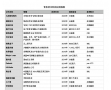 5 亿零花钱玩出大格局？一文深扒王思聪硬科技投