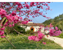 人们常说“老吾老以及人之老,幼吾幼以及人之幼