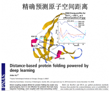 研发 AI 蛋白质优化与设计平台，「分子之心」完