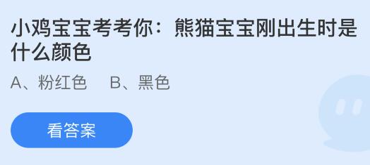 熊猫宝宝刚出生时是什么颜色？蚂蚁庄园今日答案      6.14