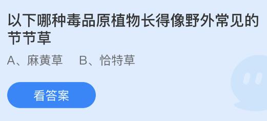 以下哪种毒品原植物长得像野外常见的节节草？蚂蚁庄园小鸡课堂      答案6月26日