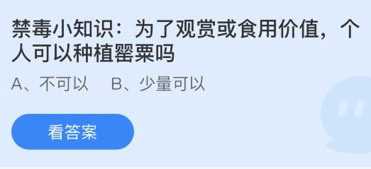 为了观赏或食用价值个人可以种植罂粟吗？蚂蚁庄园今日答案      6.26