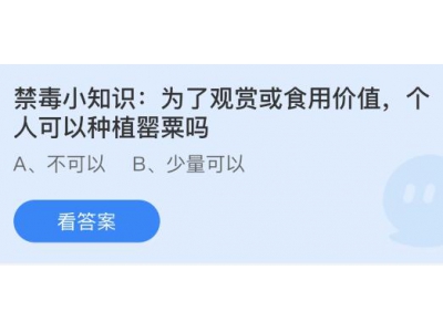 为了观赏或食用价值个人可以种植罂粟吗？蚂蚁