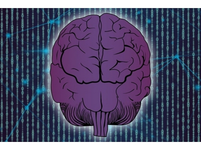 “换脑术”有望落地！美国聘请激进科学家研究