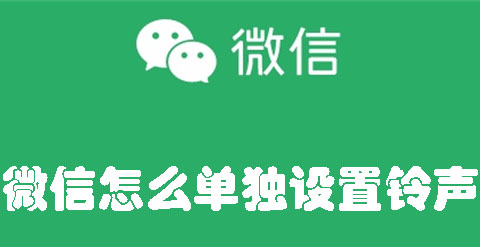 微信怎么单独设置铃声