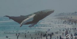 传阿里领投Magic Leap D轮融资 估值将达80亿美元